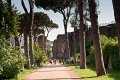 0490Foro Palatino